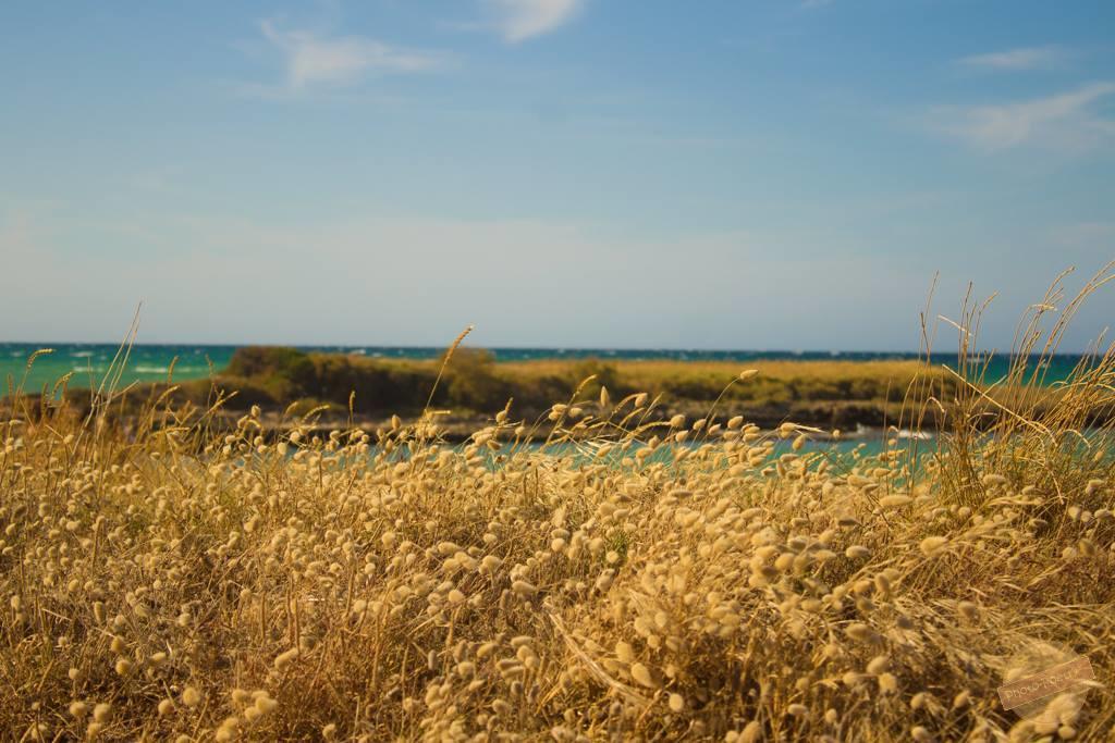 Borgo Degli Artisti Villa Ostuni Esterno foto